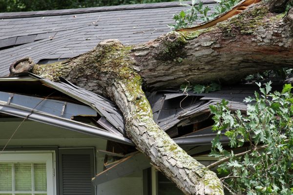 Cost of Storm Remediation in Portage