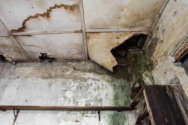 Water Damage Service in Portage