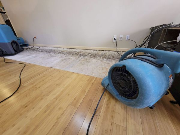 Water Damage Mitigation in Portage