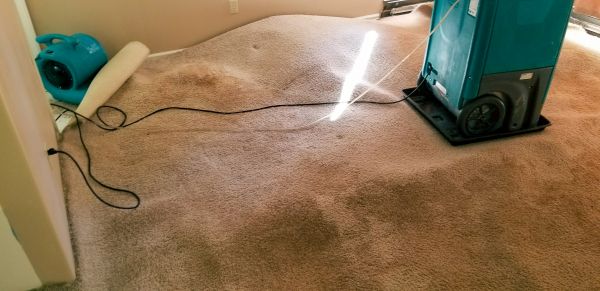 Flood Damage Cleanup in Portage
