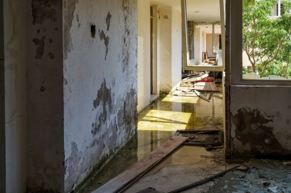Water Removal Service in Portage