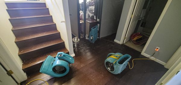 Water Damage Remediation in Portage