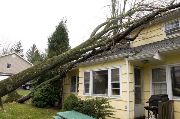 Hurricane Damage Repair in Portage
